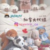🇨🇦加拿大代購IG : souvenir_ca