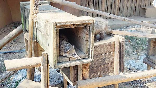 新竹動物園