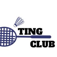 大溪TING🏸️CLUB球隊