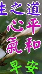 坐等@善良的人有天保佑