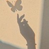 ꙳⊹ 鳶 光 祁 行 ⑉⋆˚