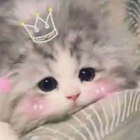 โอเพนแชทแมวน่ารัก