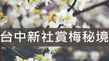 台中新社梅花秘境,梅花大爆滿新社梅花已經逐漸綻放 免費賞梅 | 台中賞梅推薦