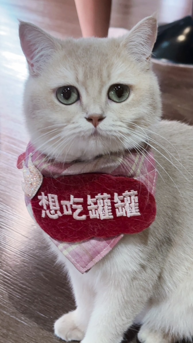 密室修仙