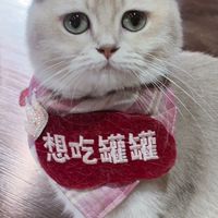 密室修仙