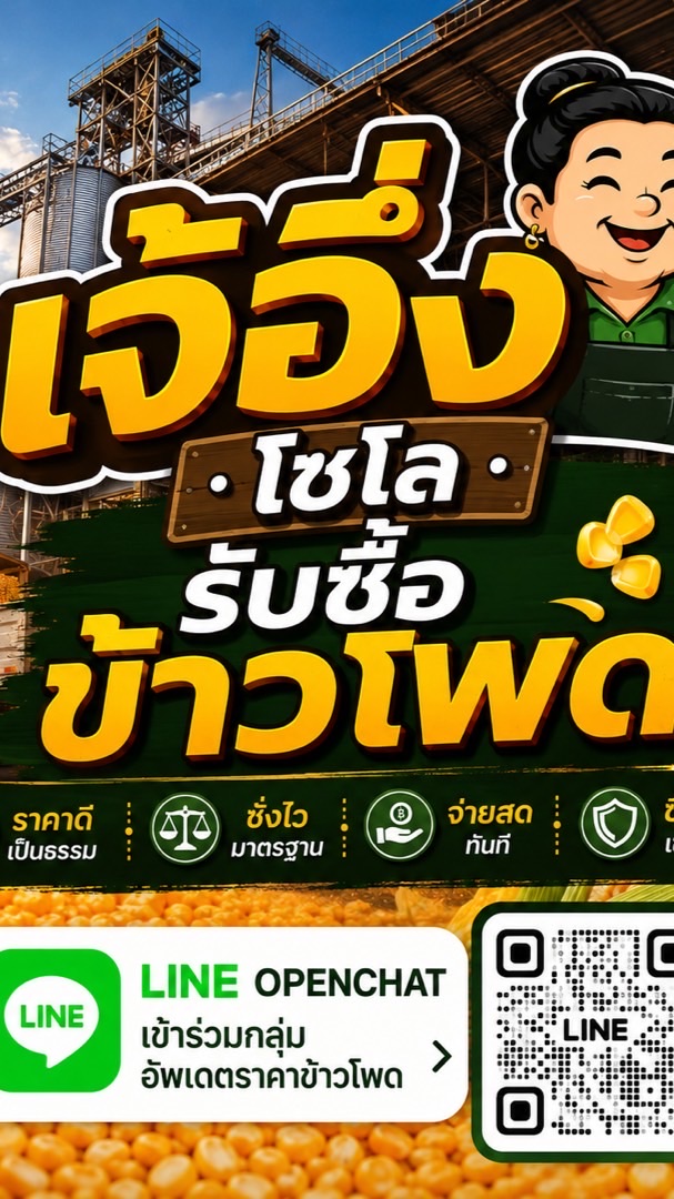 แจ้งราคาข้าวโพด-ลานเจ้อึ่ง ไซโล