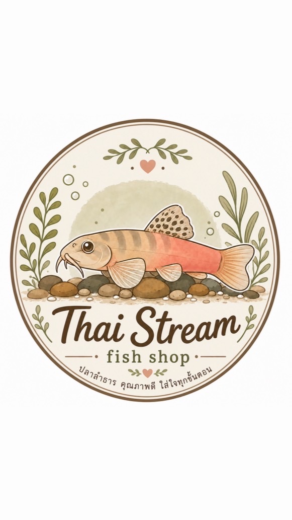 Thai Stream Shop