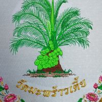 กิจประจำวันวัดมะพร้าวเตี้ย