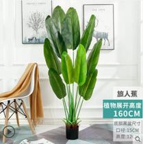 仿真植物旅人蕉落地天堂鳥ins風客廳花裝飾假盆栽綠植北歐大型樹