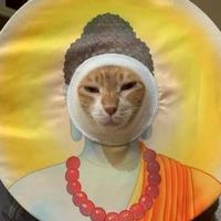 Cat9