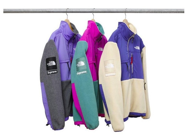 supreme north face summit series