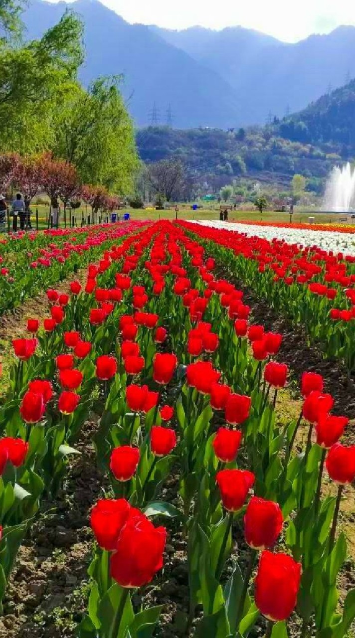 Bright & Bloom travel