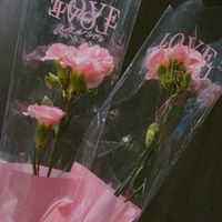 兔寶媽咪愛團購🐰