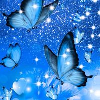 🦋Butterfly🦋 FX自動売買