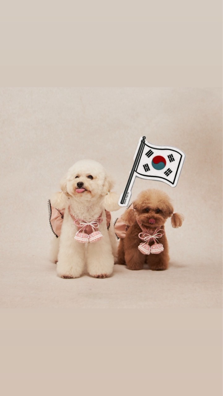 🇰🇷蘋安姐親飛韓國代購11/1-5