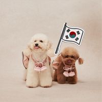 🇰🇷蘋安姐親飛韓國代購11/1-5