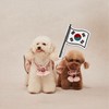 🇰🇷蘋安姐親飛韓國代購11/1-5