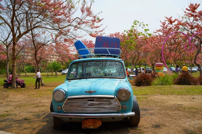 中部景點,斗六景點,斗六花旗木,近水樓台,近水樓台湖畔森林咖啡,近水樓台湖畔森林咖啡交通資訊,近水樓台湖畔森林咖啡停車場,近水樓台湖畔森林咖啡停車場花旗木,近水樓台湖畔森林咖啡門票,雲林IG打卡點,雲林景點,雲林網美景點,雲林花旗木近水樓台湖畔森林咖啡花旗木