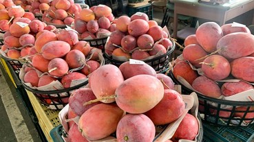 玉井青果市場 每年四月一路至九月，芒果季就是要盡情吃芒果！！