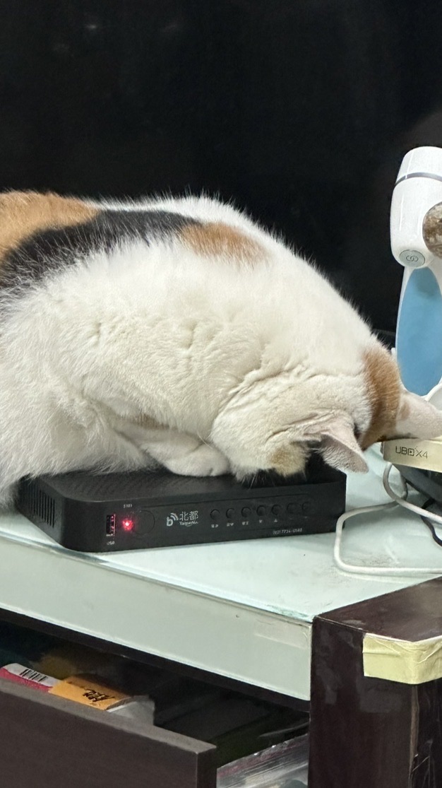 咕咕嘎嘎