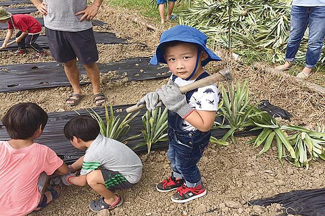 銘泉生態休閒農場鳳梨農事體驗(圖/屏東縣政府農業處)