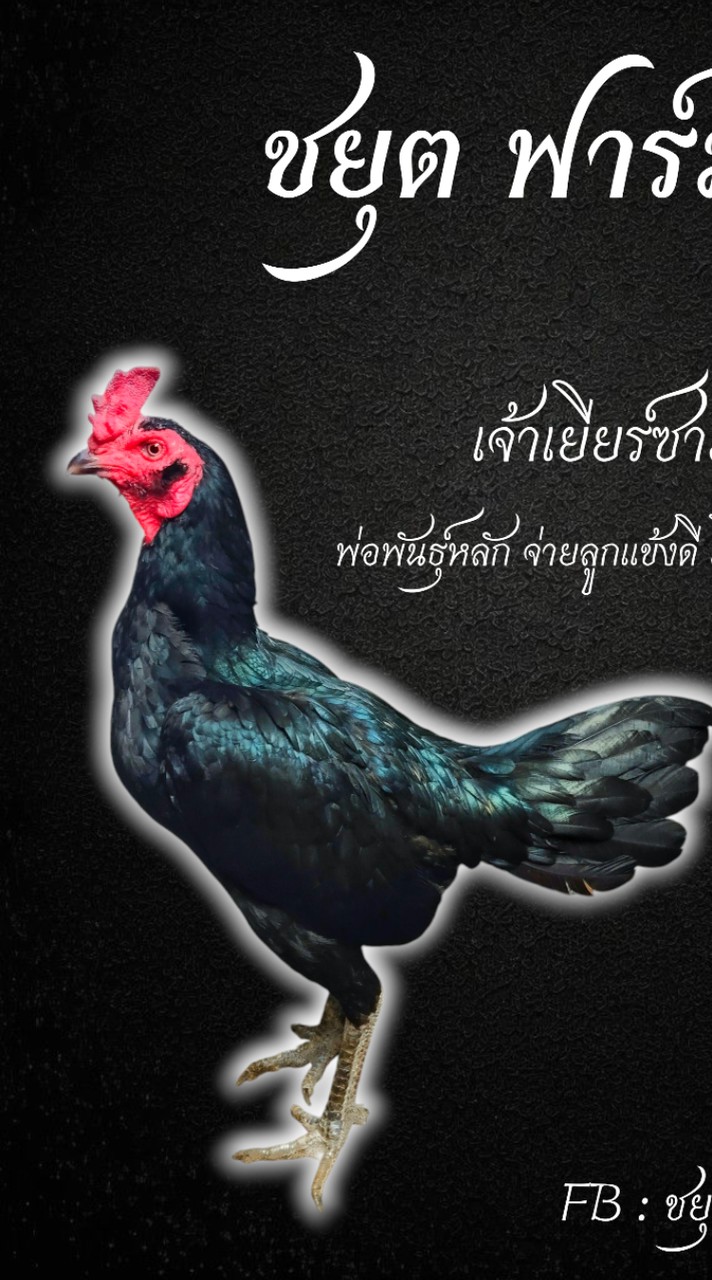 ชยุต ฟาร์ม