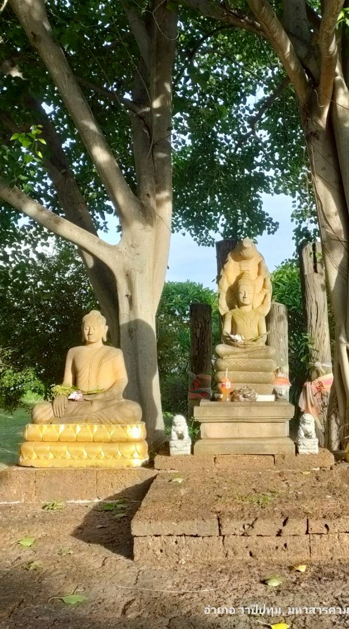 แจ้งข่าวชาววาปีปทุม