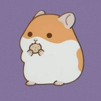แฮมสเตอร์ Hamster family
