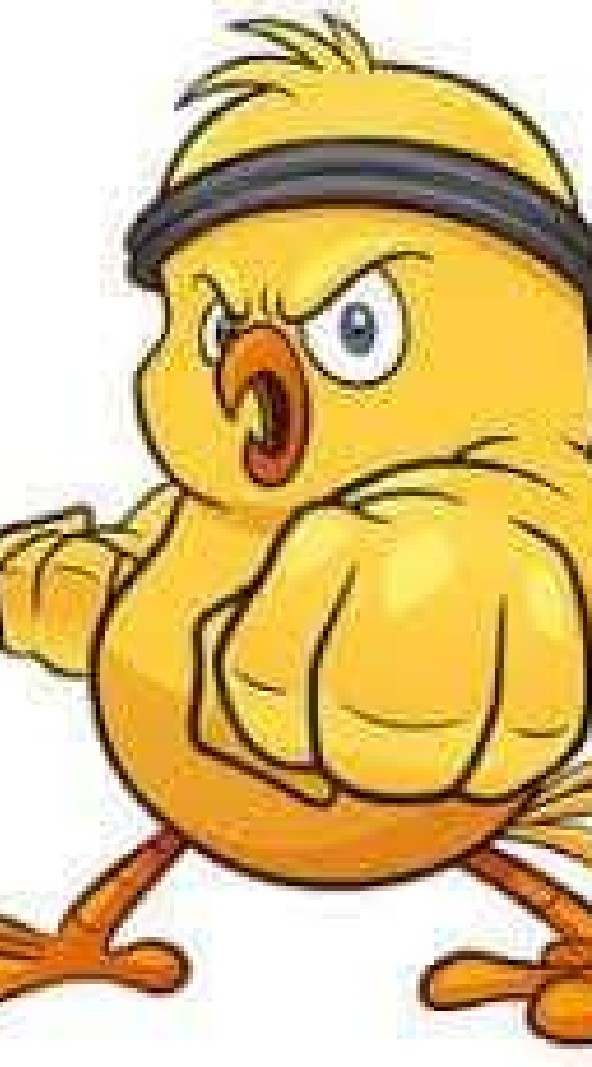ทีเด็ดมวยไทยไก่ย่าง