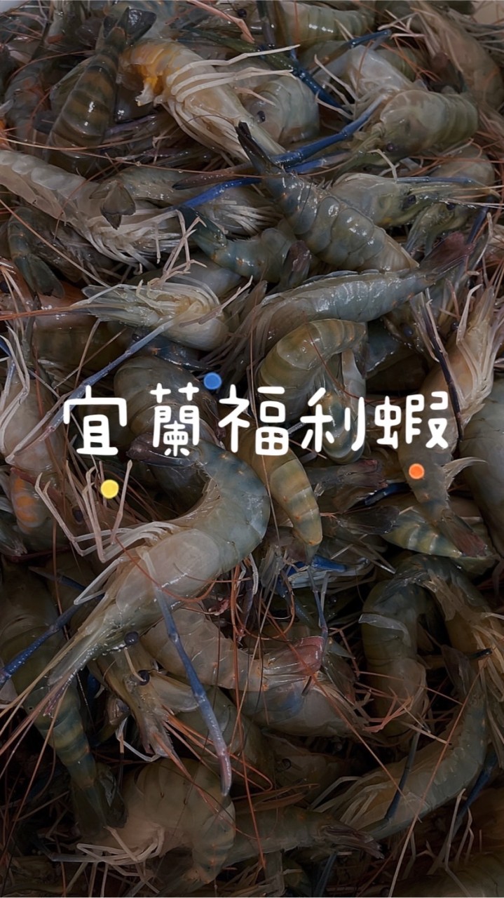 宜蘭福利蝦