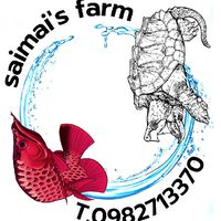 Fish shop ladkrabang