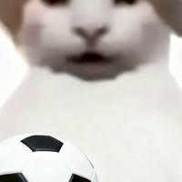 球迷之家⚽️