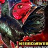อ.อภิสิทธิ์ ไก่ชน (ครูโต)