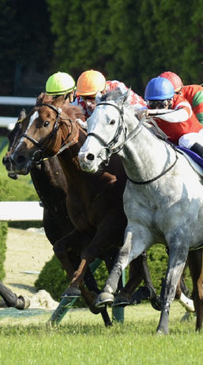 競馬の勝率を上げる為にブックメーカーを使う❗のオープンチャット