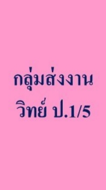 กลุ่มส่งงาน  วิทย์   ป.1/5