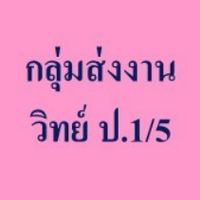 กลุ่มส่งงาน  วิทย์   ป.1/5