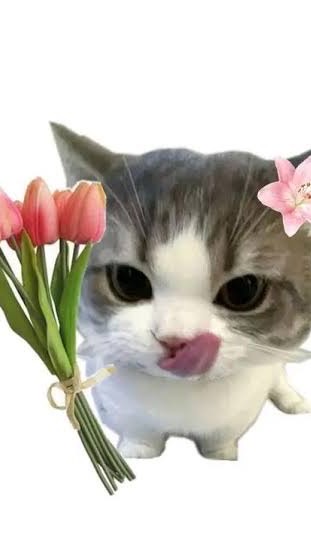 มิกิวะจงเจริญ💋