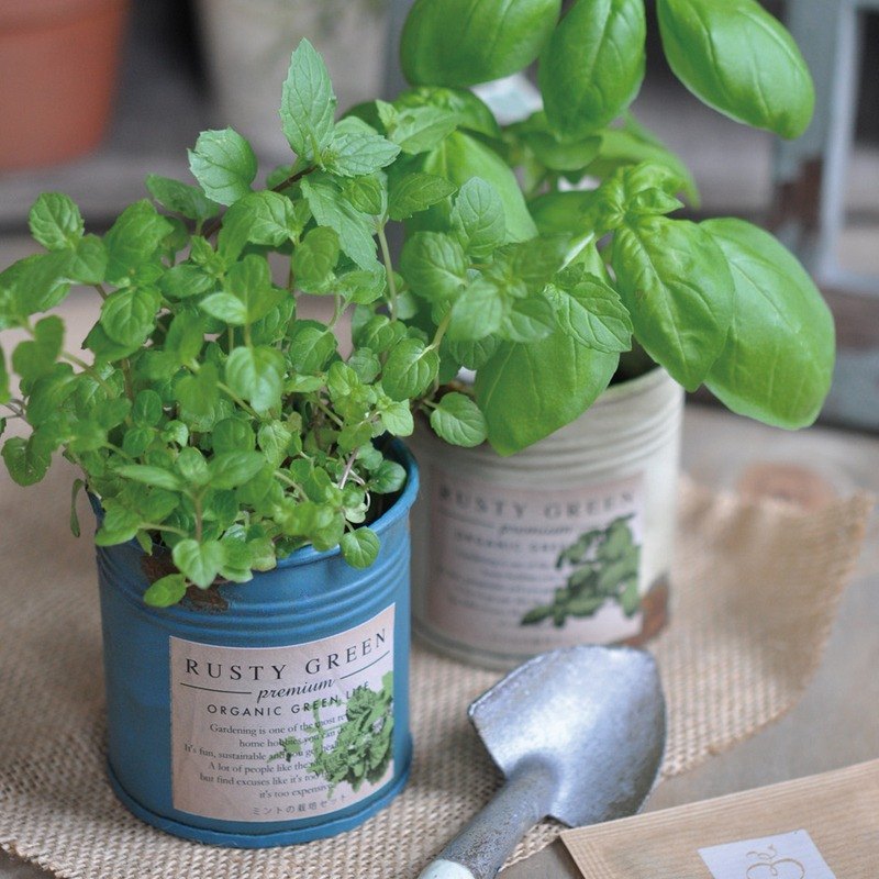 RUSTY GREEN 復古鐵鏽栽培盆器 / 香草類 (三款)