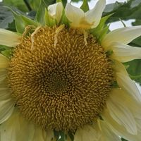 40代５０代6０代仲よくお話しを
