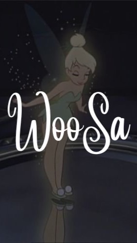 WooSa