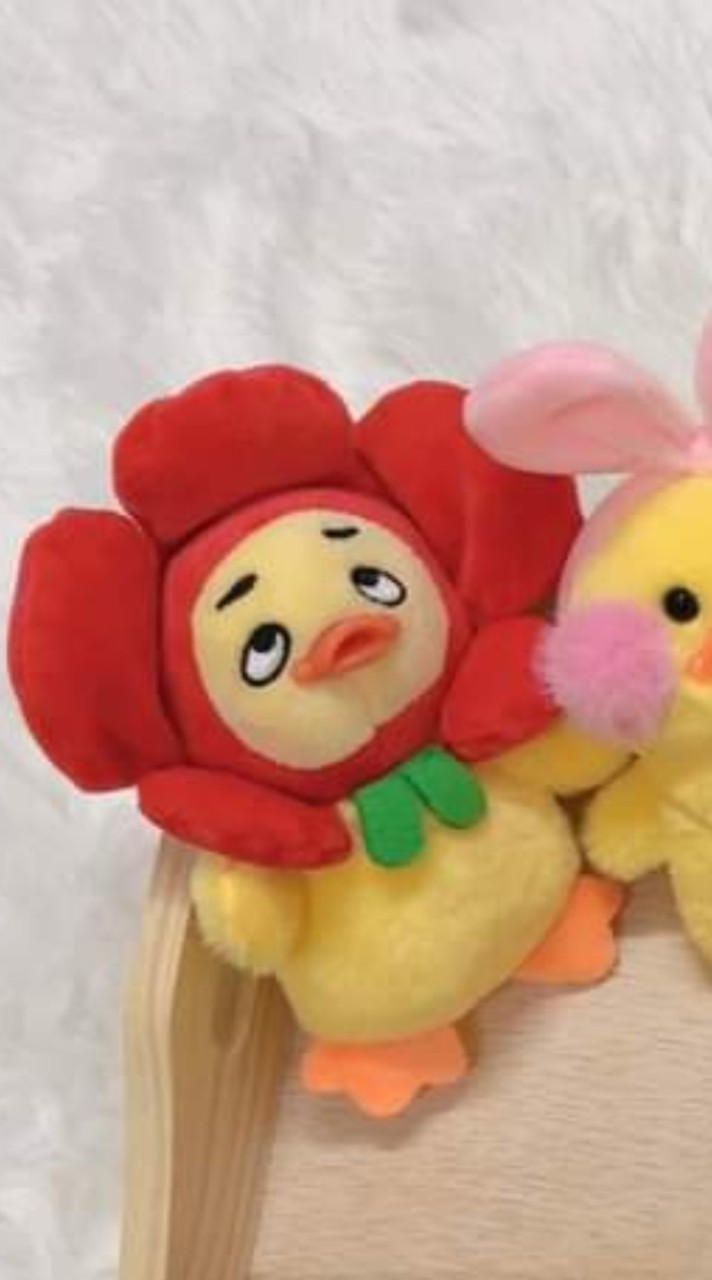 บ้านตุ๊กตาพี่กันตังน้องกันตา