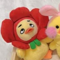บ้านตุ๊กตาพี่กันตังน้องกันตา