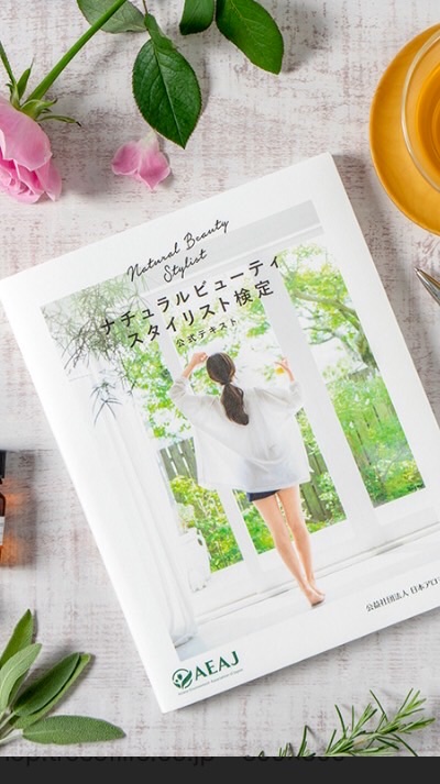 0期 nbs _hakko
