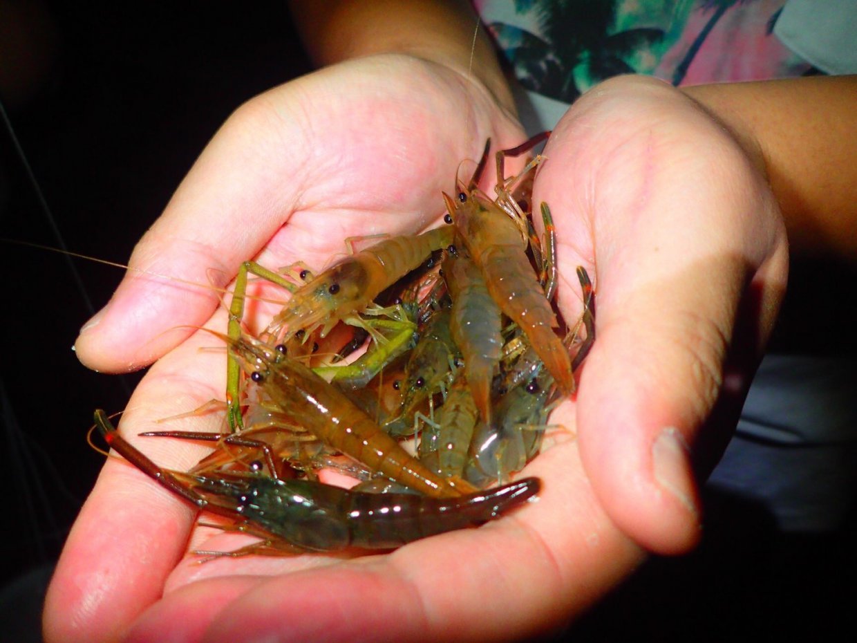 花蓮玩樂攻略｜沒玩過這些等於沒到過花蓮 上山下海體驗超Fun行程