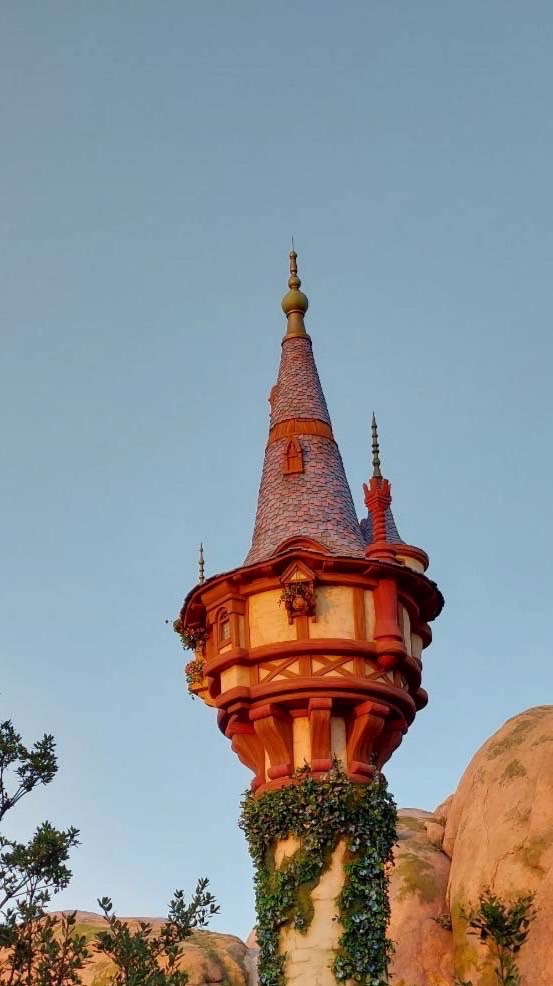 ディズニー好きな人！