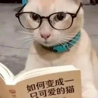 貓貓頭社