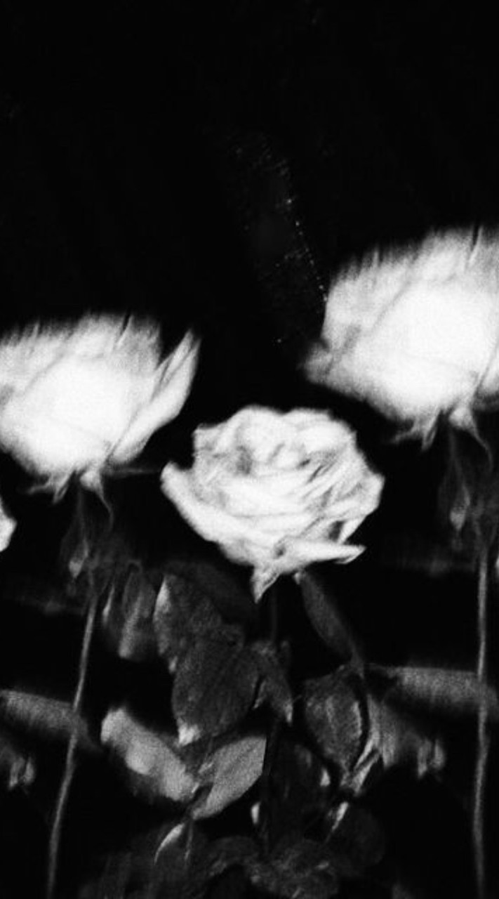 ปรึกษา/คุยเล่น