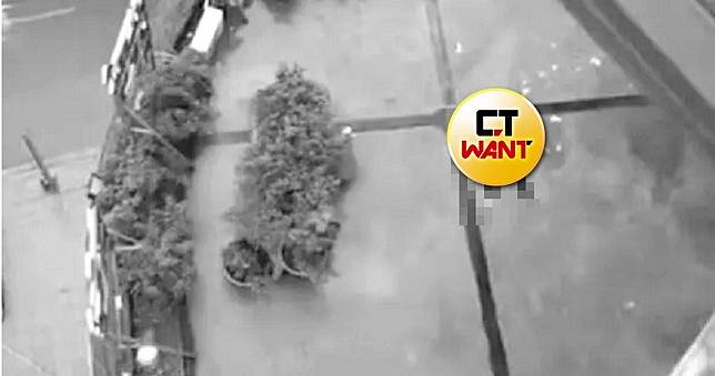 不給玩手機！16歲弟「刀猛砍姐姐」轉身跳樓慘死　媽全目睹