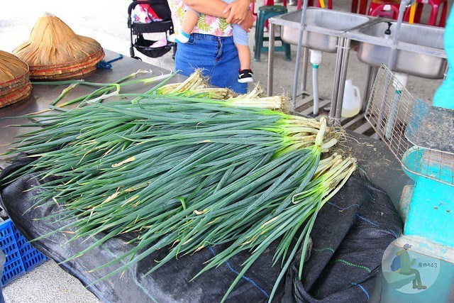 蔥仔寮體驗農場