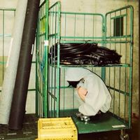 ずとまよ好きな人おいで（24時悩みみんなで解決しよう）